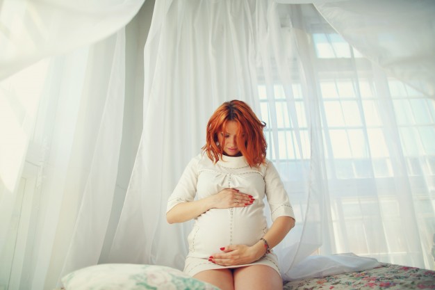 desarrollo del embarazo mes a mes