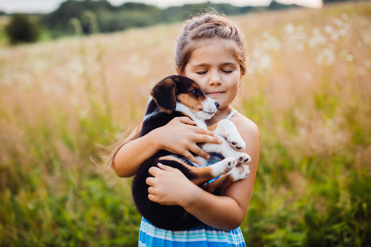 La Importancia De Las Mascotas En Los Niños